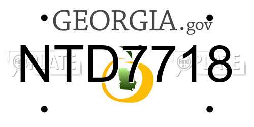 NTD7718 Georgia License Plate