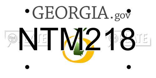 NTM218 Georgia License Plate