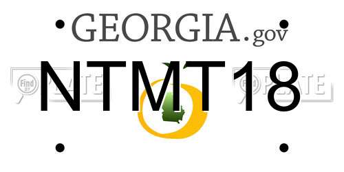 NTMT18 Georgia License Plate