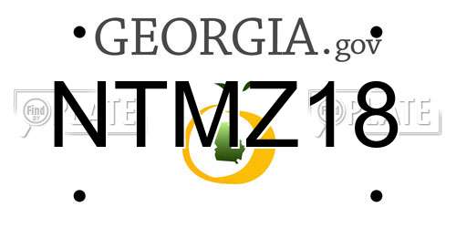 NTMZ18 Georgia License Plate