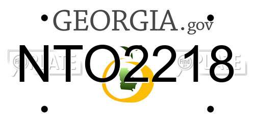 NTO2218 Georgia License Plate