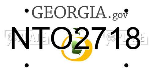 NTO2718 Georgia License Plate