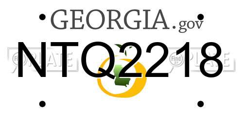 NTQ2218 Georgia License Plate