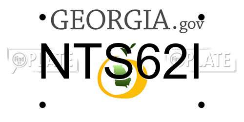 NTS62I Georgia License Plate