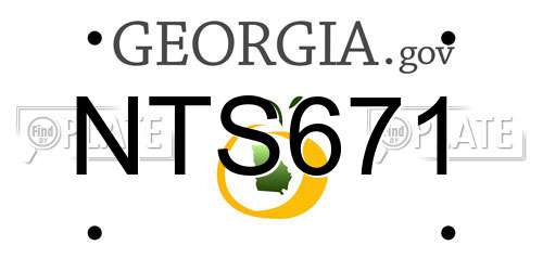 NTS671 Georgia License Plate