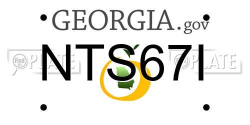 NTS67I Georgia License Plate