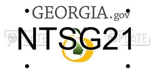 NTSG21 Georgia License Plate
