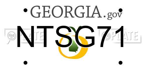 NTSG71 Georgia License Plate