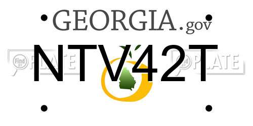 NTV42T Georgia License Plate