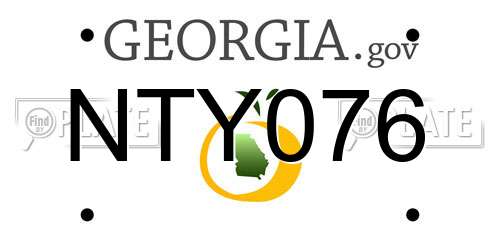 NTY076 Georgia License Plate