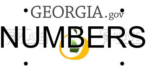 NUMBERS Georgia License Plate