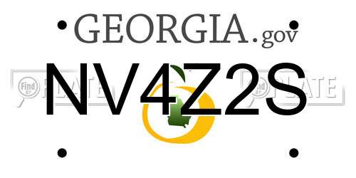 NV4Z2S Georgia License Plate
