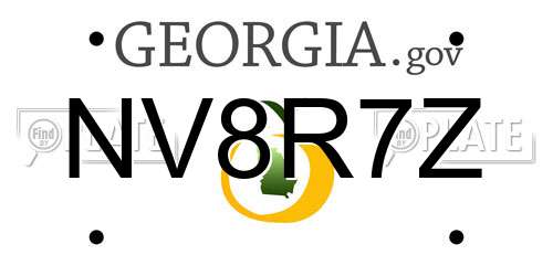NV8R7Z Georgia License Plate