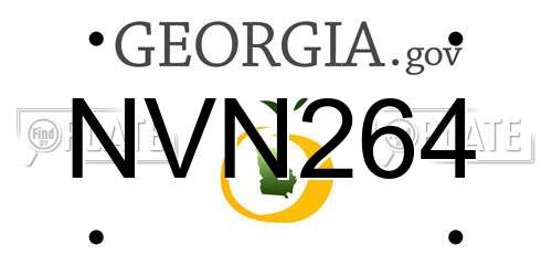 NVN264 Georgia License Plate