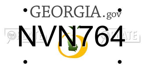 NVN764 Georgia License Plate