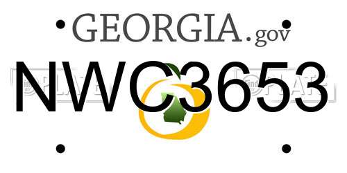 NWC3653 Georgia License Plate