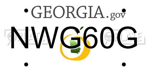 NWG60G Georgia License Plate