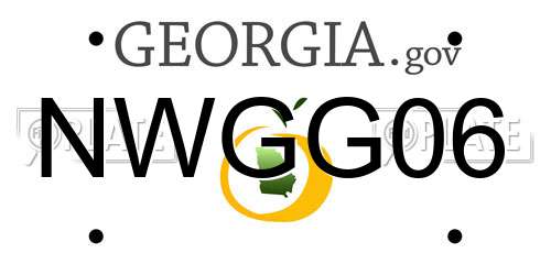 NWGG06 Georgia License Plate
