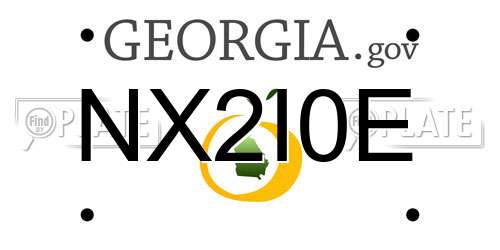 NX2I0E Georgia License Plate