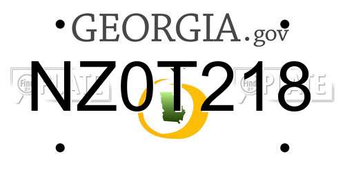 NZ0T218 Georgia License Plate