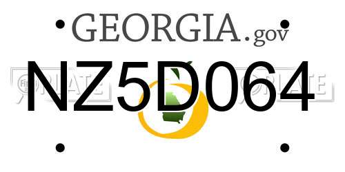 NZ5D064 Georgia License Plate