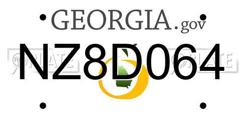 NZ8D064 Georgia License Plate