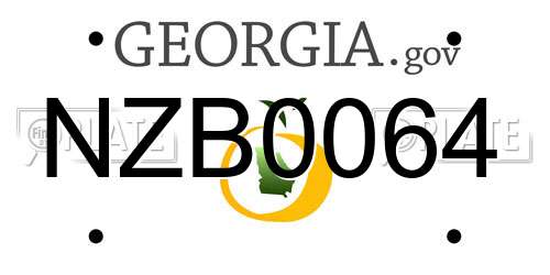 NZB0064 Georgia License Plate