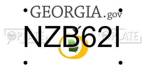 NZB62I Georgia License Plate