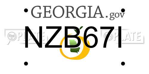 NZB67I Georgia License Plate