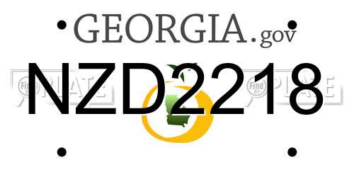 NZD2218 Georgia License Plate