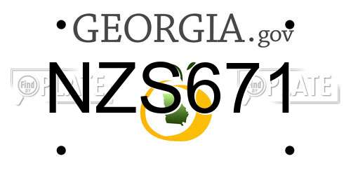 NZS671 Georgia License Plate