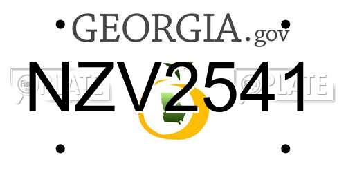 NZV2541 Georgia License Plate