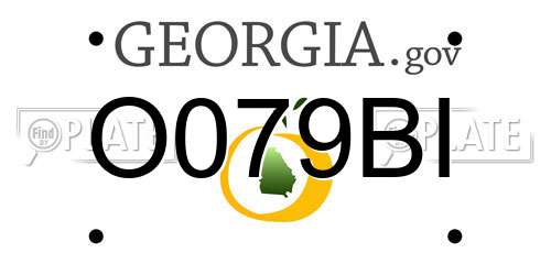 O079BI Georgia License Plate