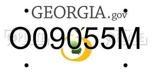 O09055M Georgia License Plate