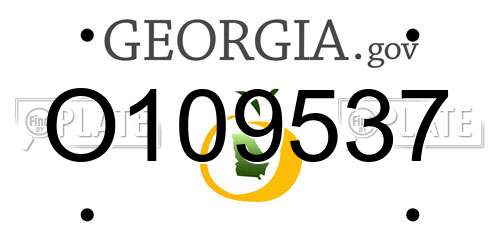 O109537 Georgia License Plate