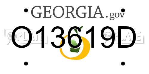 O13619D Georgia License Plate