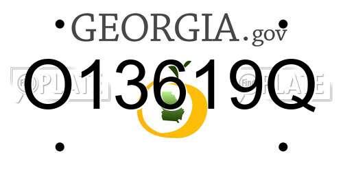 O13619Q Georgia License Plate