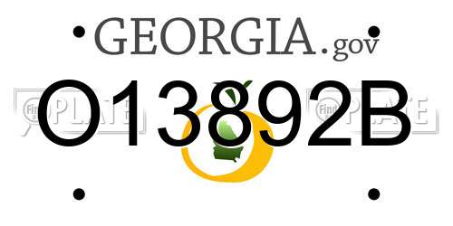 O13892B Georgia License Plate