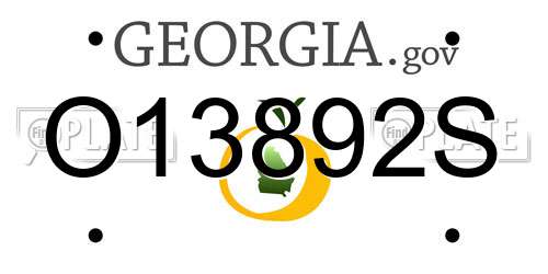 O13892S Georgia License Plate