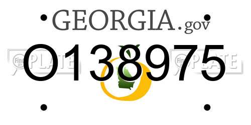 O138975 Georgia License Plate