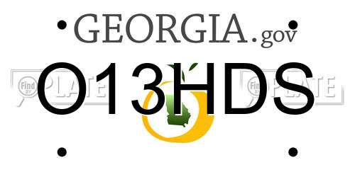 O13HDS Georgia License Plate