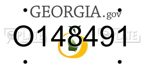O148491 Georgia License Plate