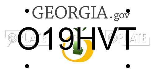 O19HVT Georgia License Plate