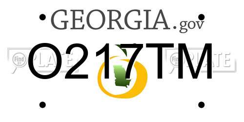 O217TM Georgia License Plate