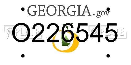 O226545 Georgia License Plate