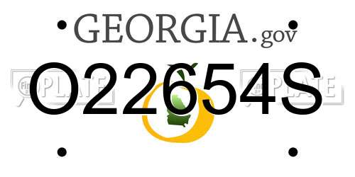 O22654S Georgia License Plate