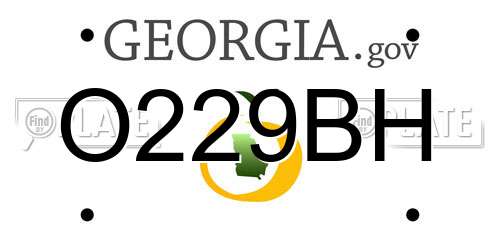 O229BH Georgia License Plate