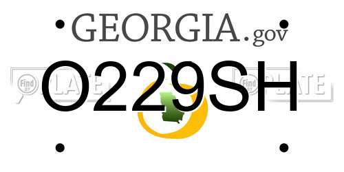 O229SH Georgia License Plate