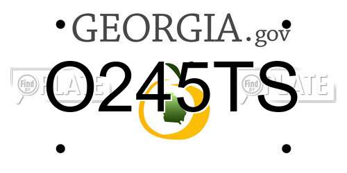 O245TS Georgia License Plate