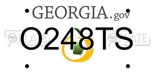 O248TS Georgia License Plate